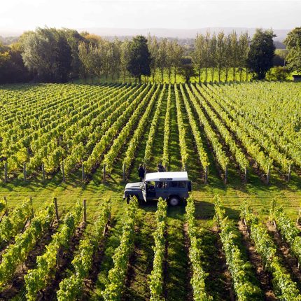 Guided wine tasting and French fine dining dinner at Chapter One, Locksbottom.