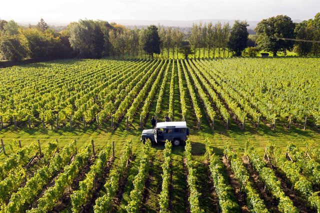 Guided wine tasting and French fine dining dinner at Chapter One, Locksbottom.